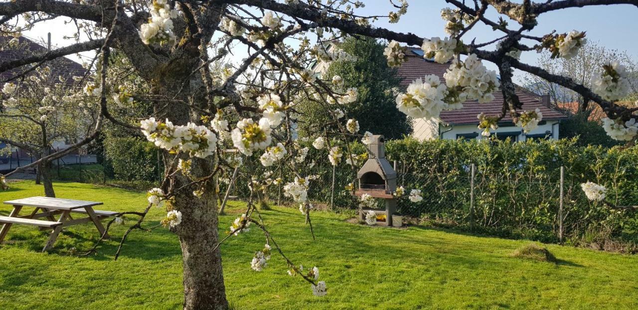 Maison De Vacances Freconrupt La Broque Екстериор снимка